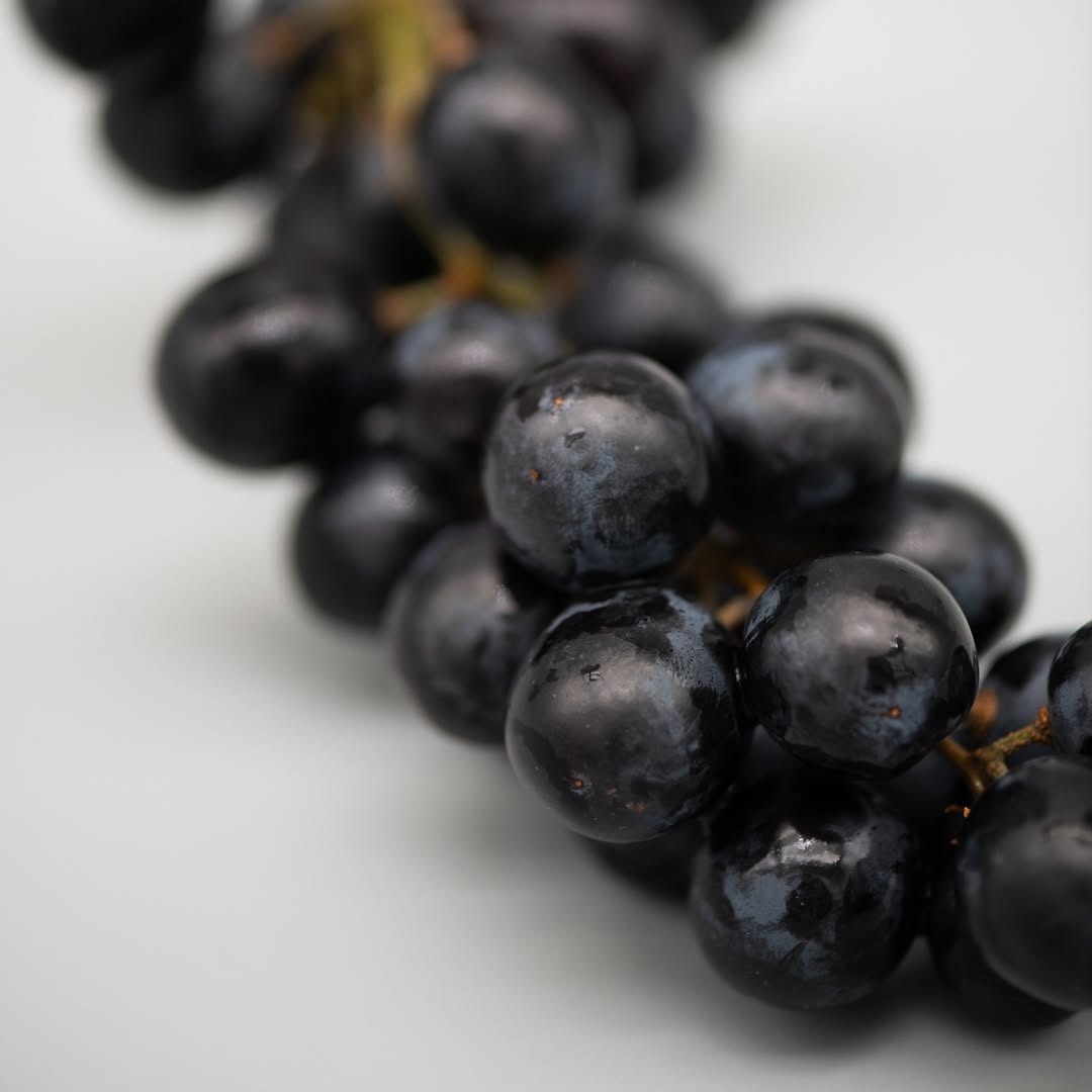 What are the different types of skin conditions?