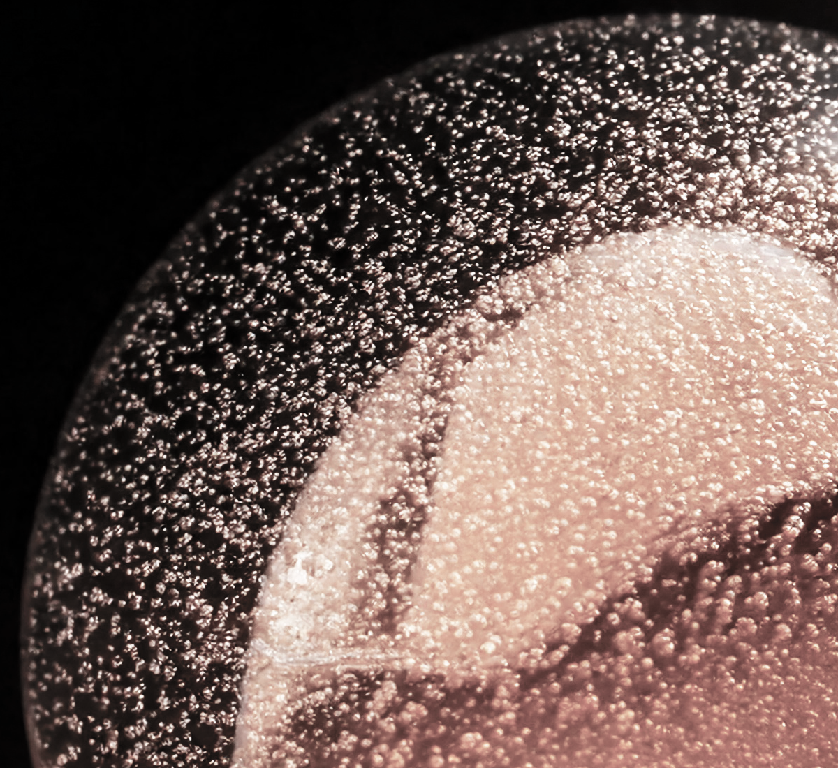 Beau Domaine by Brad Pitt & Famille Perrin