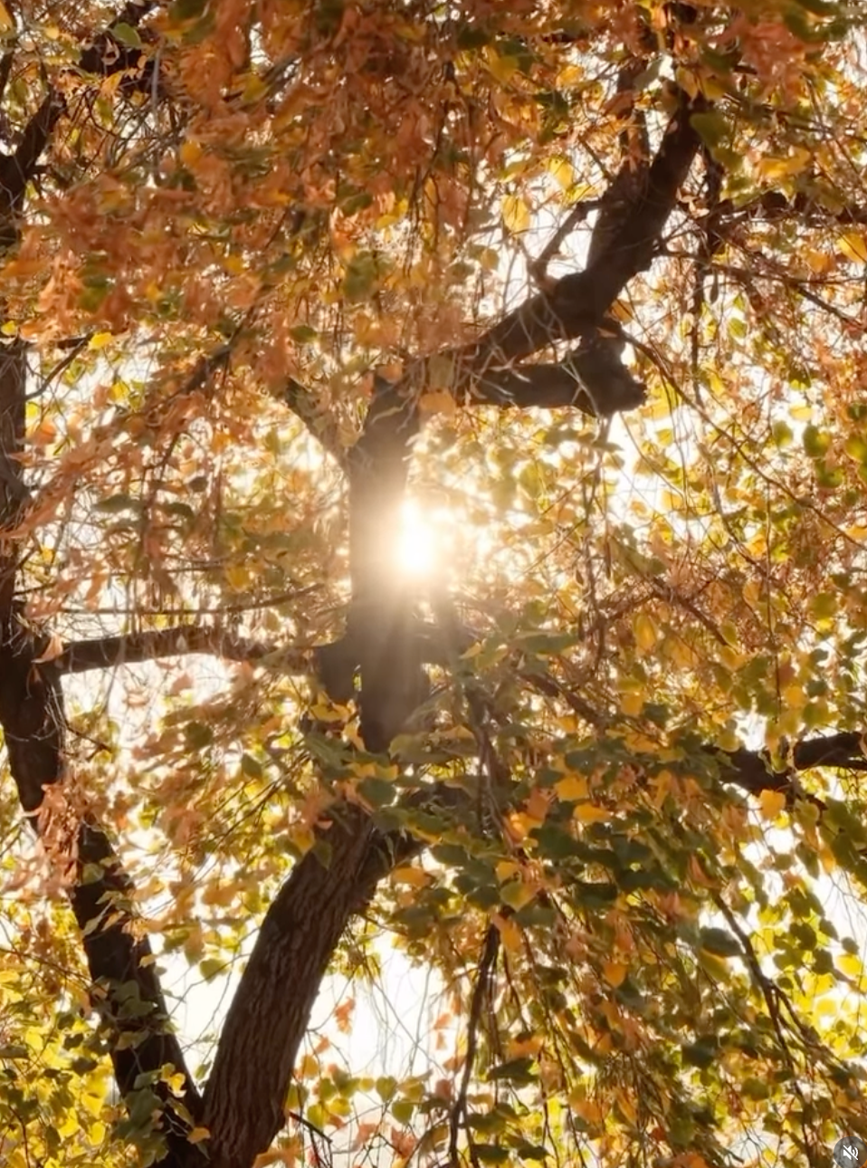 Beau Domaine by Brad Pitt & Famille Perrin