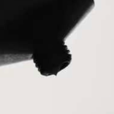 Beau Domaine by Brad Pitt & Famille Perrin