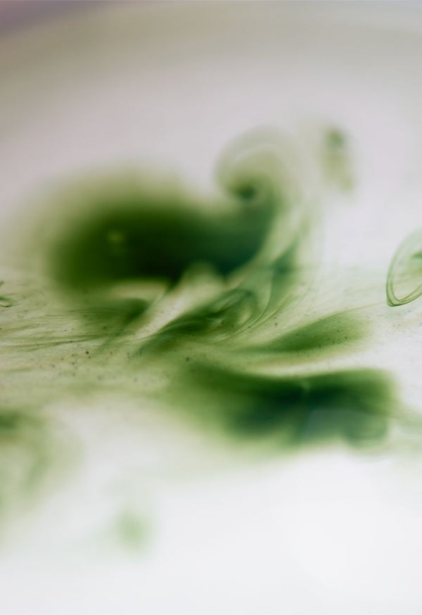 Beau Domaine by Brad Pitt & Famille Perrin