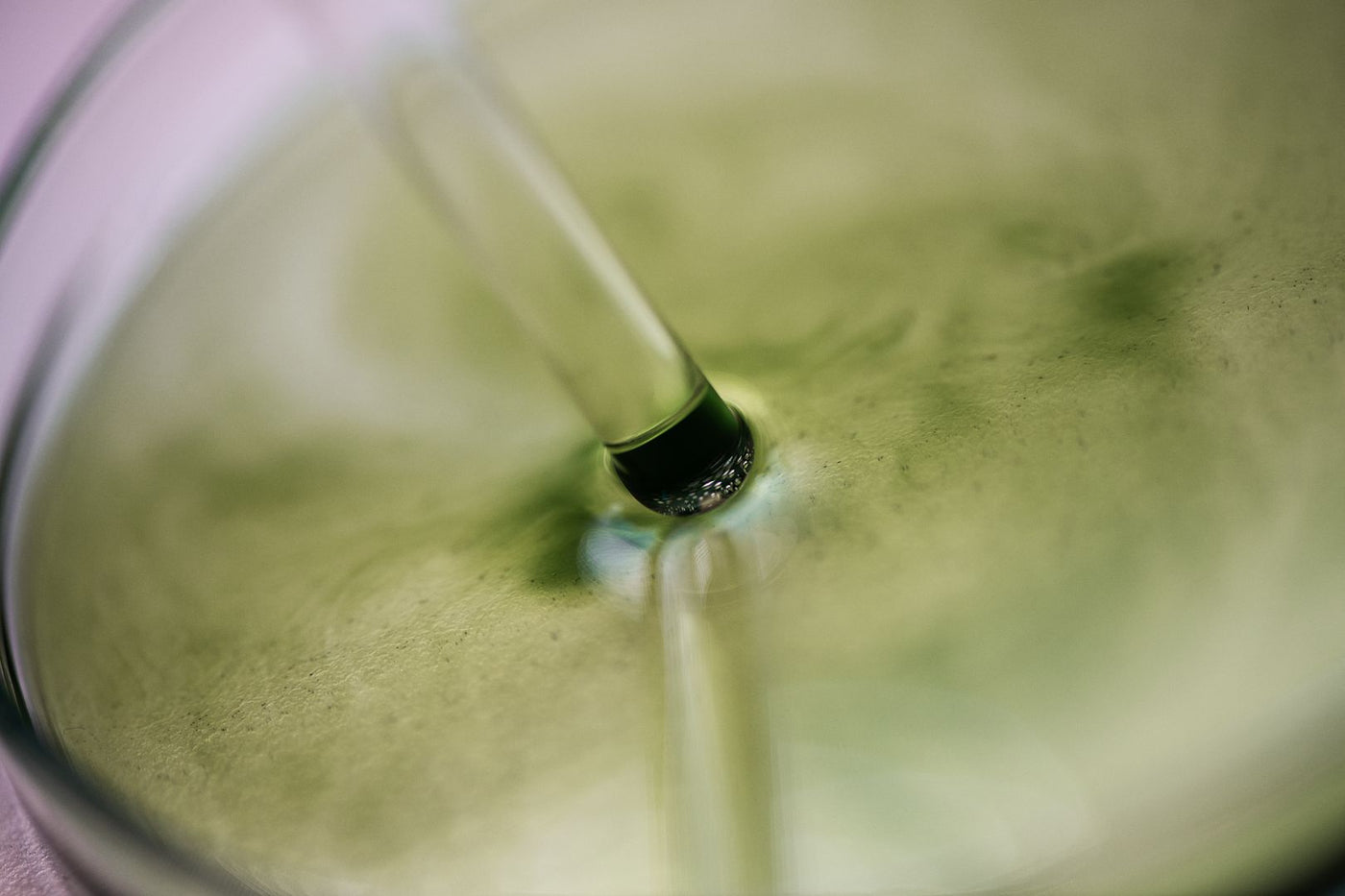 Beau Domaine by Brad Pitt & Famille Perrin