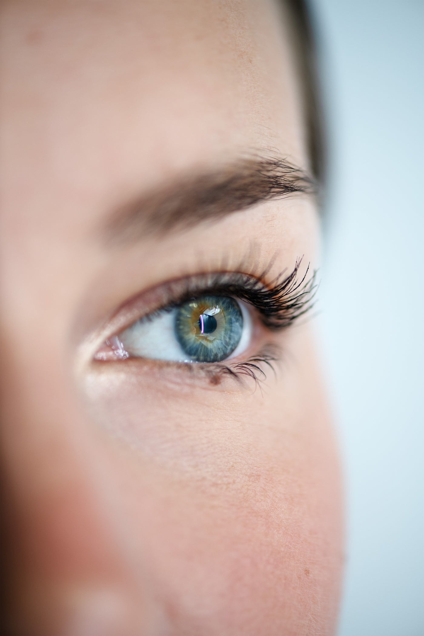 Beau Domaine by Brad Pitt & Famille Perrin