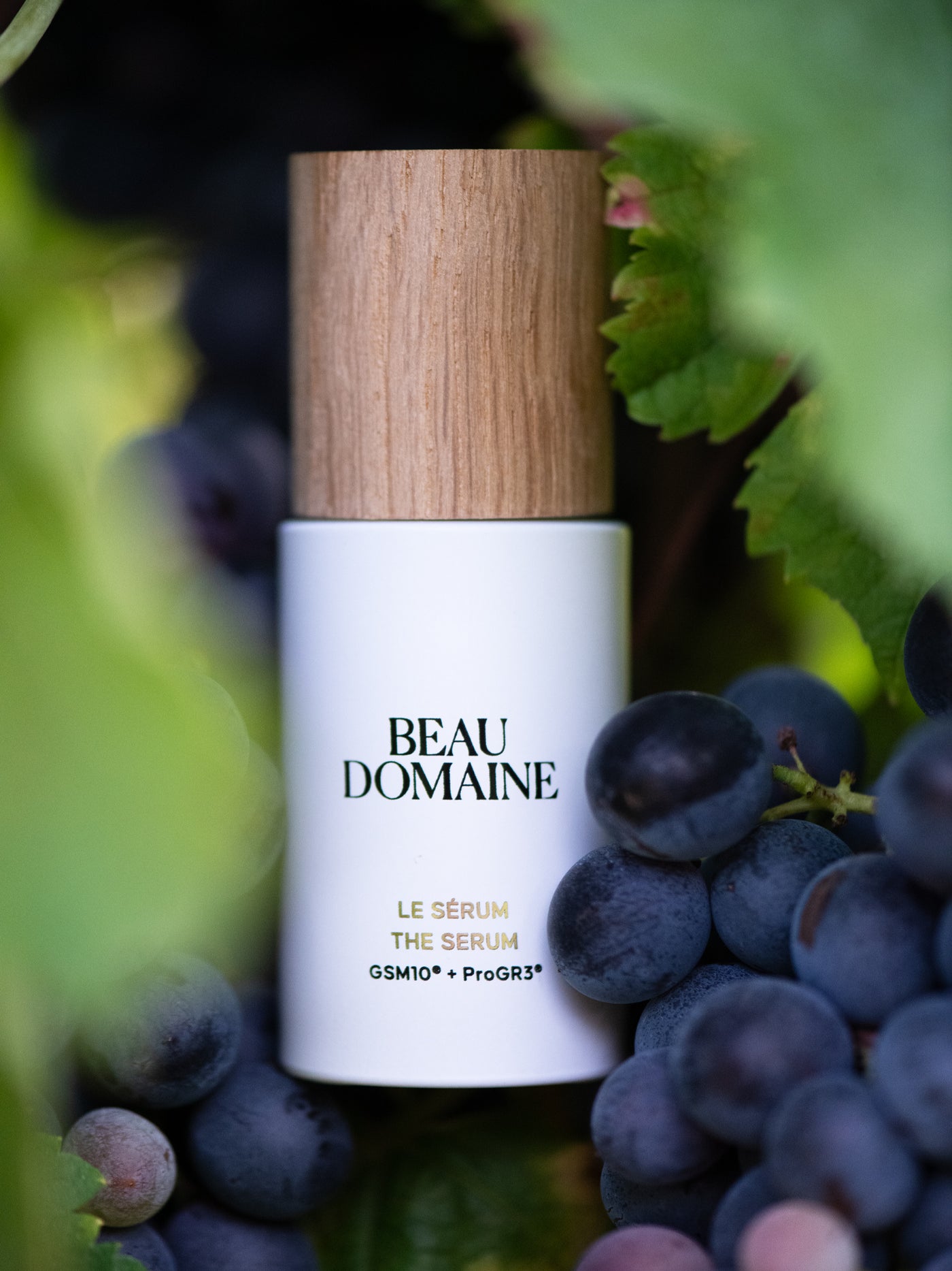 Beau Domaine by Brad Pitt & Famille Perrin