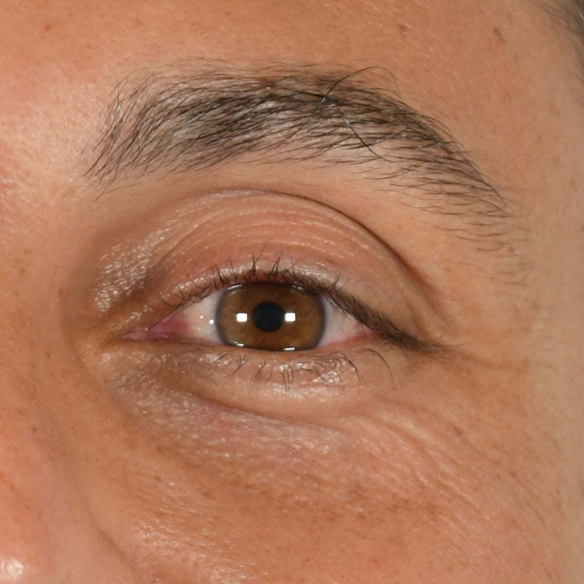 Beau Domaine by Brad Pitt & Famille Perrin