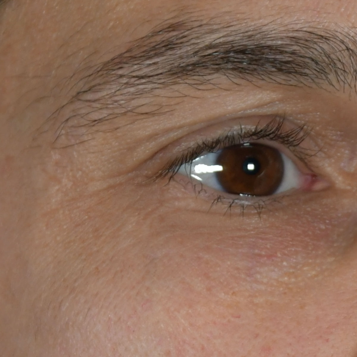 Beau Domaine by Brad Pitt & Famille Perrin