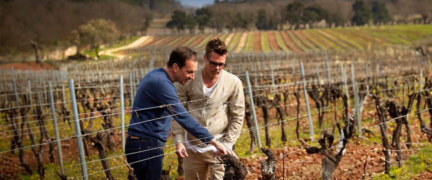 landing page Brad Pitt.png